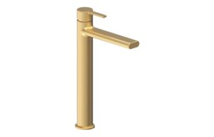 Evola Tall Basin Mixer - Brushed Brass