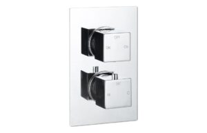 Cosmic Thermostatic Two Outlet Twin Shower Valve - Chrome