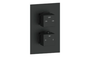 Cosmic Thermostatic Two Outlet Twin Shower Valve - Matt Black