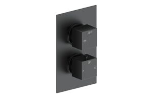 Cosmic Thermostatic Single Outlet Twin Shower Valve - Matt Black