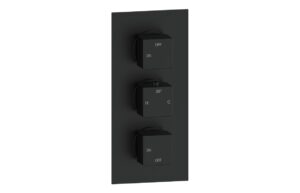 Cosmic Thermostatic Two Outlet Triple Shower Valve - Matt Black
